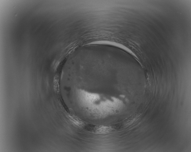 X0000056350527200509021725