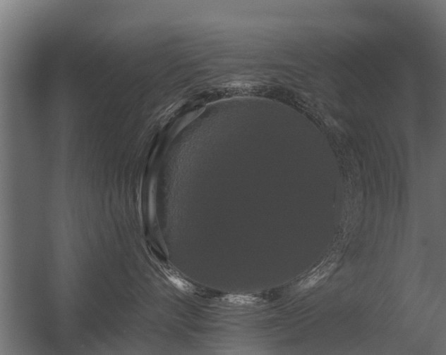 X0000056350528200509021725