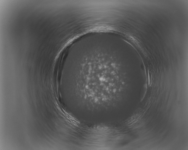 X0000056350531200509021724