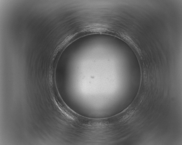 X0000056350533200509021724