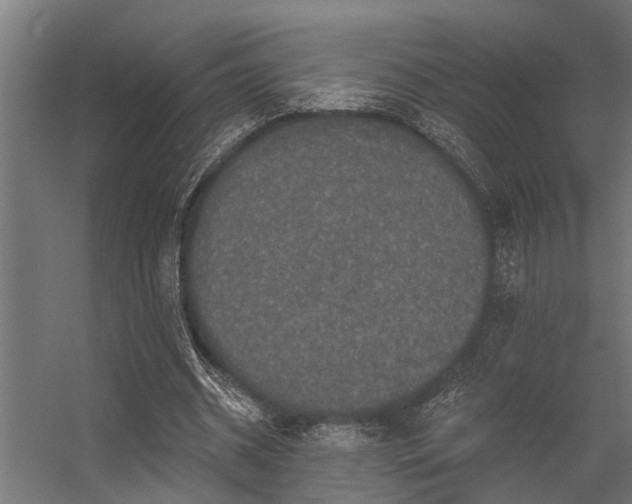 X0000056350534200509021724