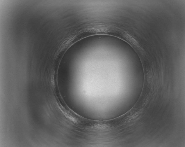 X0000056350537200509021724