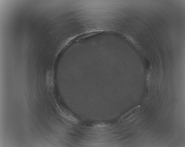 X0000056350540200509021724