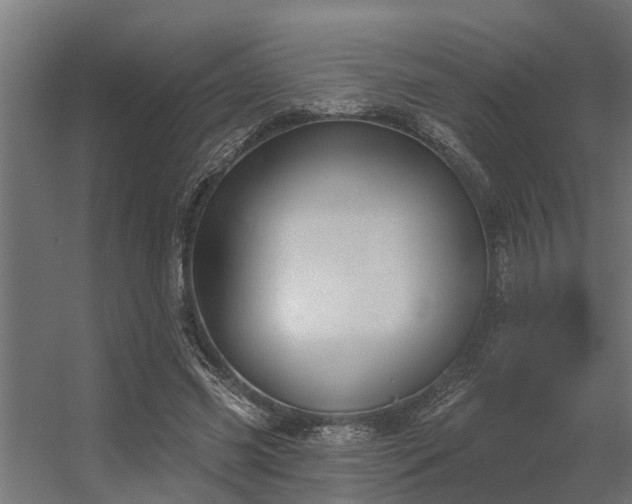 X0000056350541200509021724