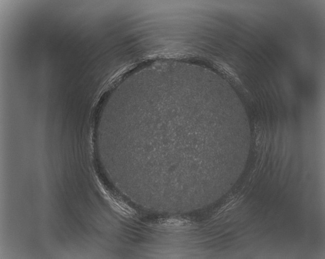 X0000056350542200509021724