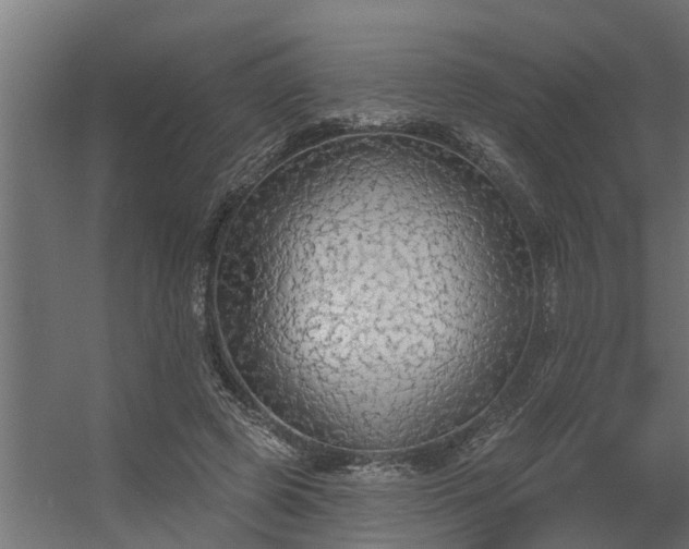 X0000056350545200509021724