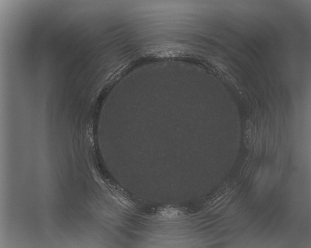 X0000056350547200509021724