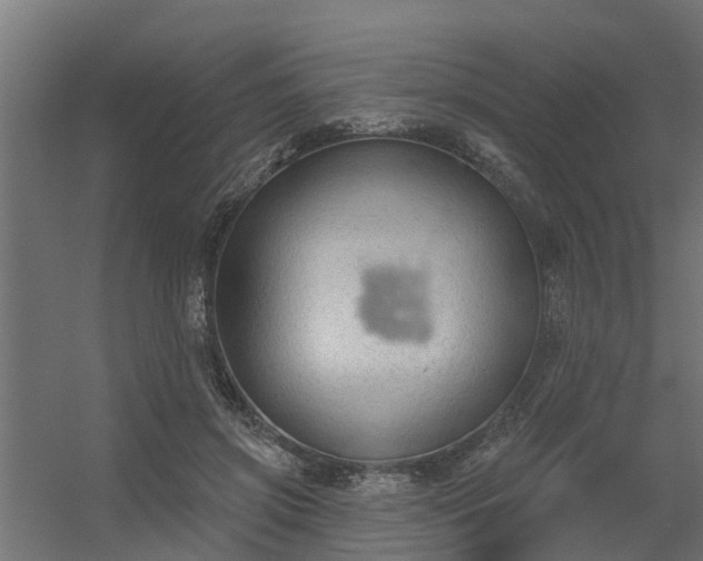 X0000056350549200509021724