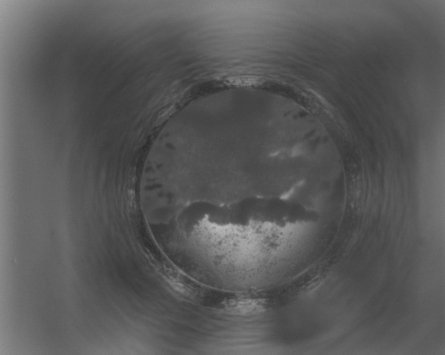 X0000056350553200509021725