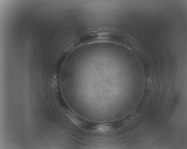 X0000056350555200509021725