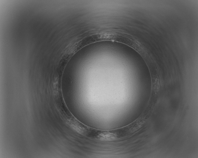 X0000056350557200509021725