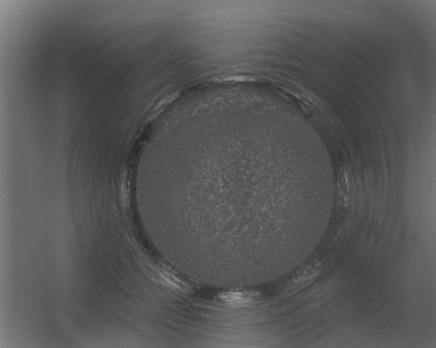 X0000056350558200509021725