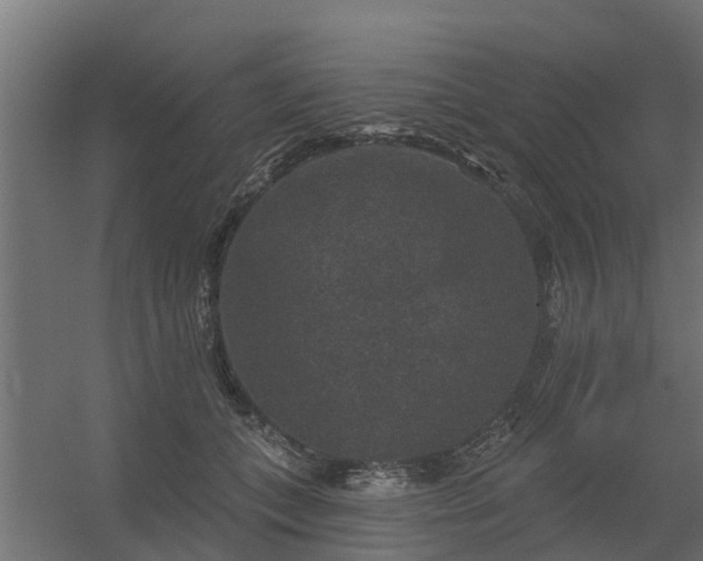 X0000056350559200509021725