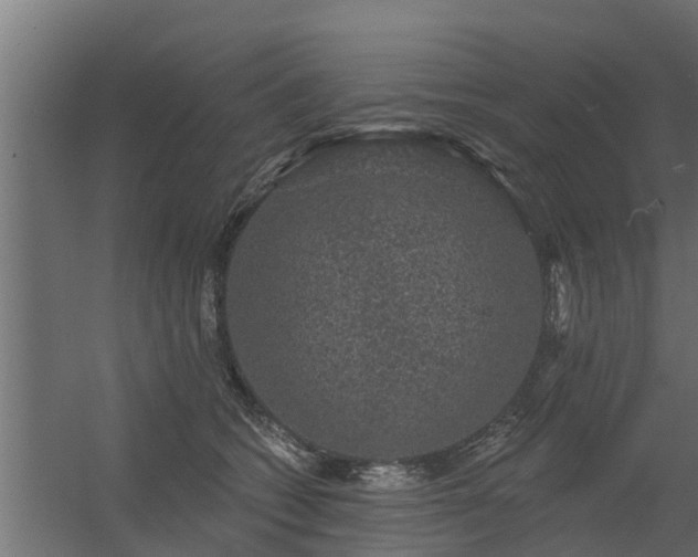 X0000056350562200509021725