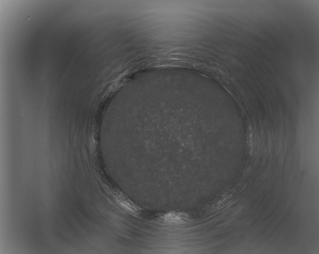 X0000056350566200509021725