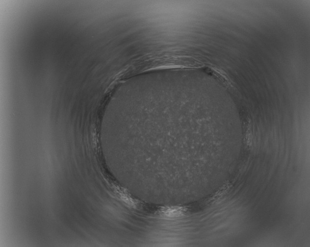 X0000056350569200509021725