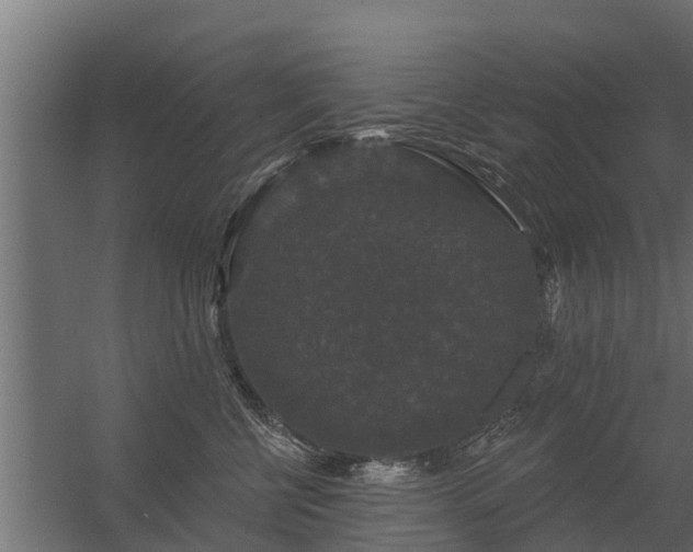 X0000056350570200509021725