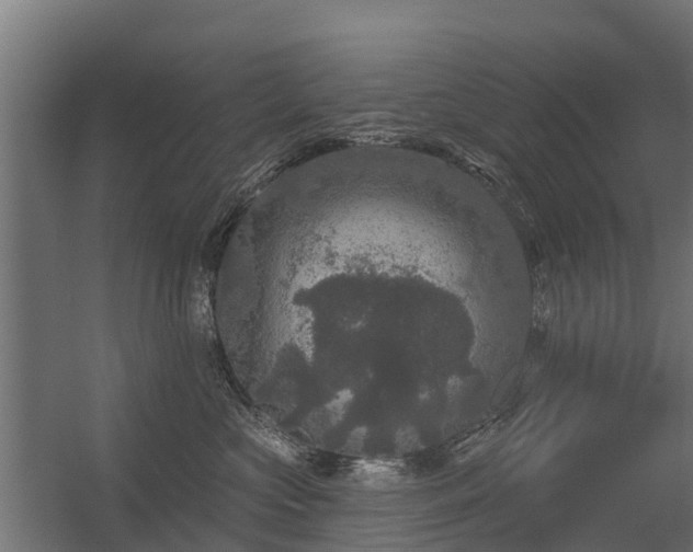 X0000056350573200509021725