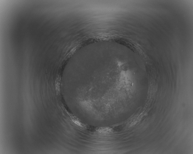 X0000056350576200509021725