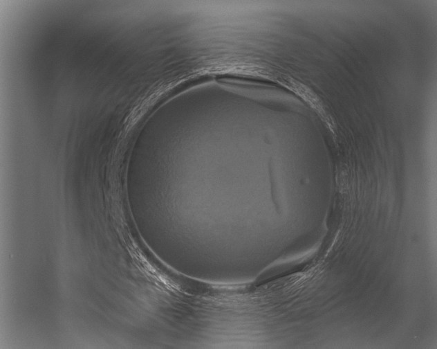 X0000056350577200509021724