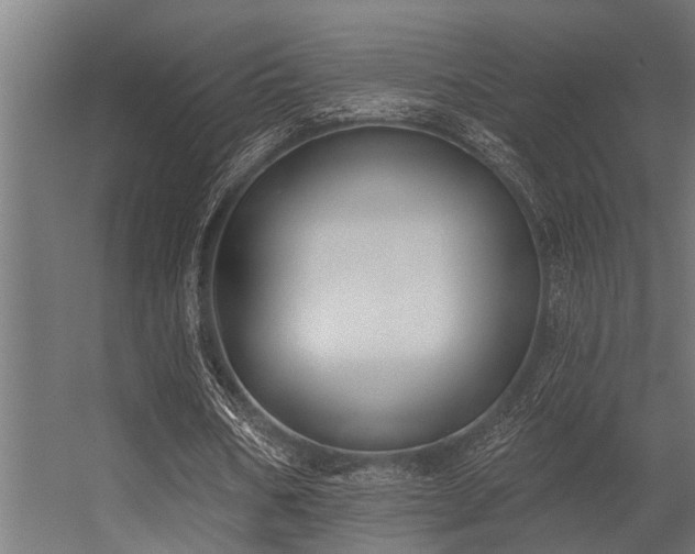 X0000056350578200509021724