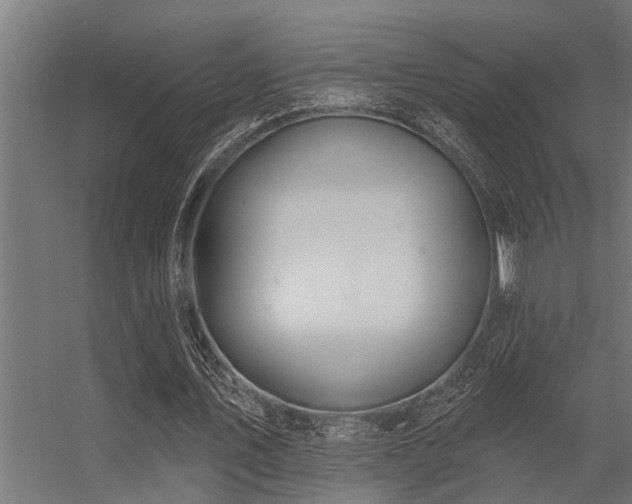 X0000056350579200509021724