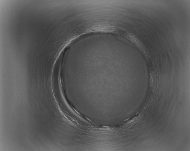 X0000056350580200509021724