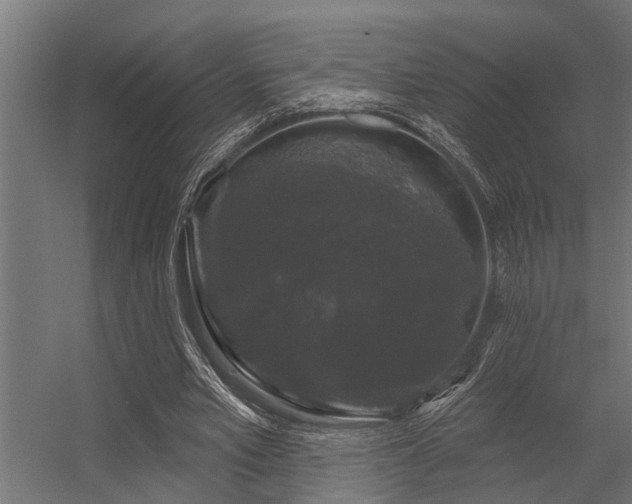 X0000056350581200509021724