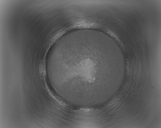 X0000056350582200509021724