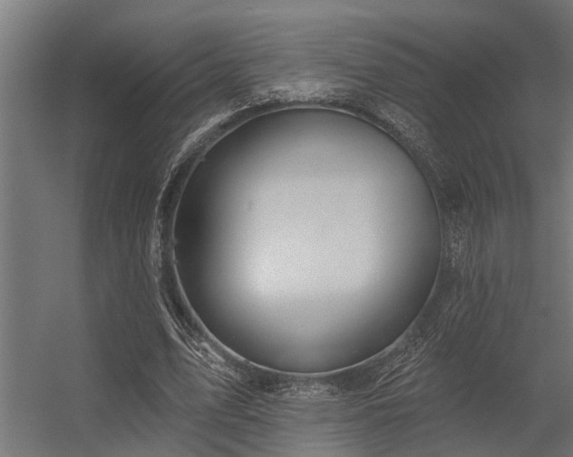 X0000056350583200509021724