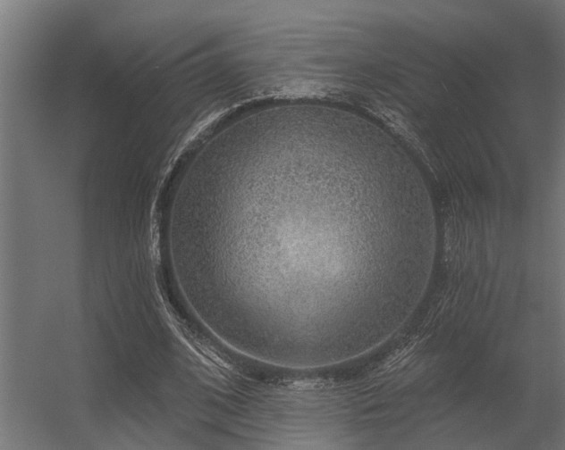 X0000056350584200509021724