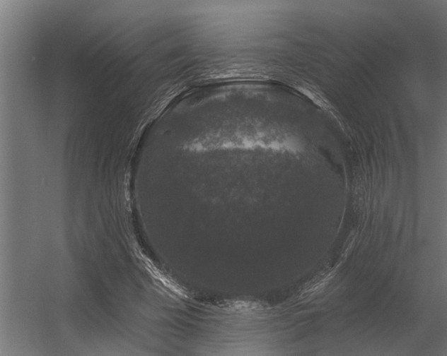 X0000056350585200509021724