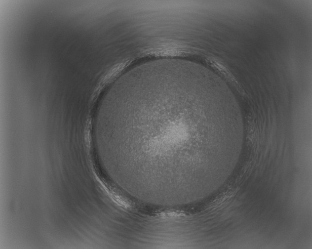 X0000056350586200509021724