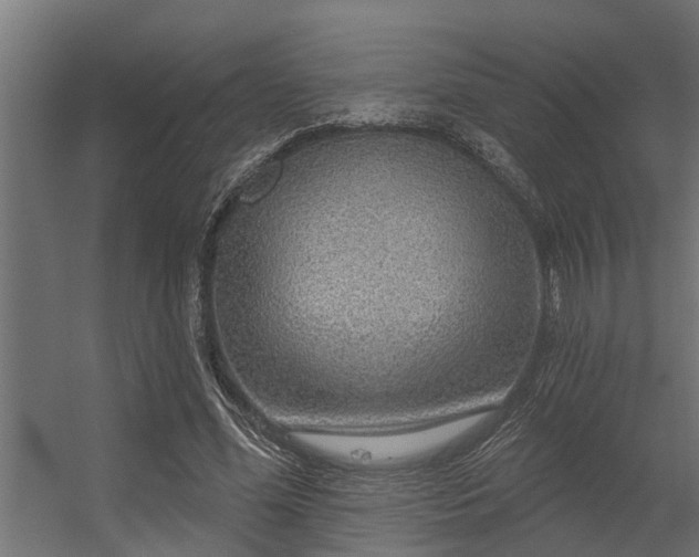 X0000056350588200509021724