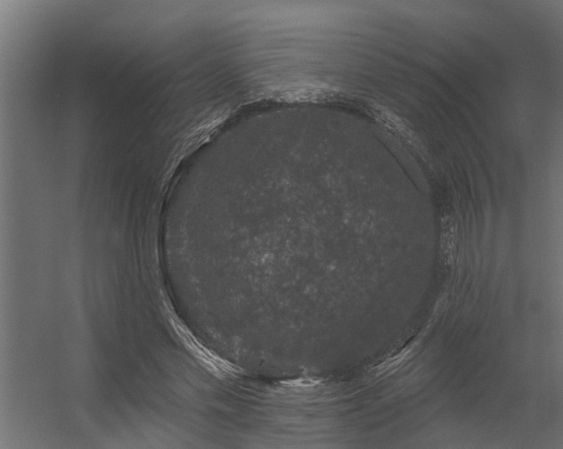 X0000056350589200509021724