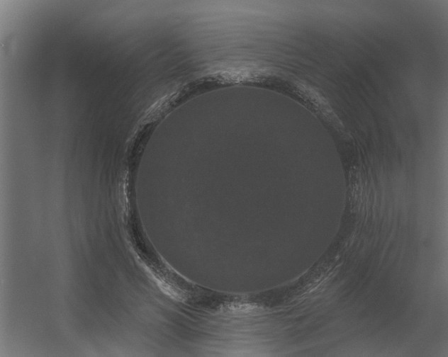 X0000056350590200509021724