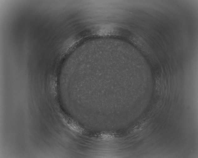 X0000056350592200509021724