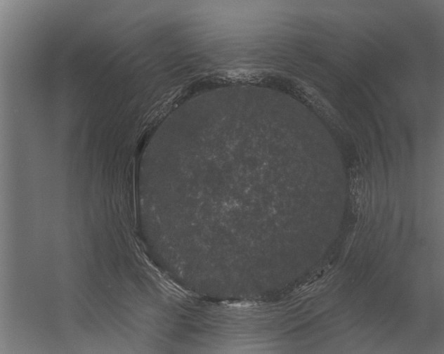 X0000056350593200509021724