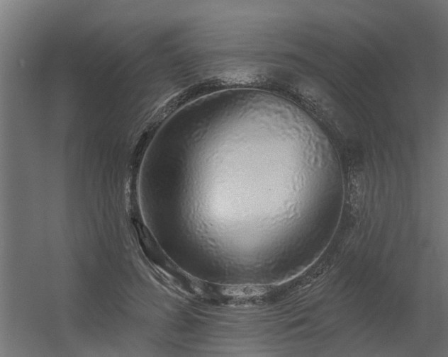 X0000056350596200509021724