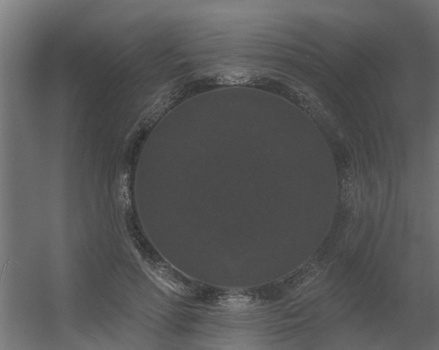 X0000056350598200509021724