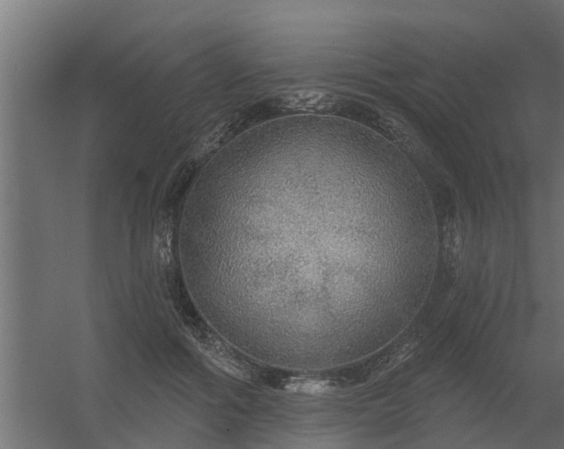 X0000056350602200509021724