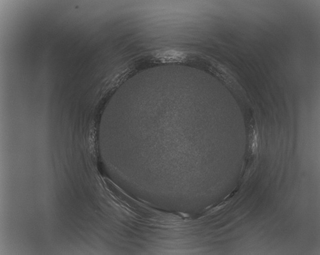 X0000056350604200509021724