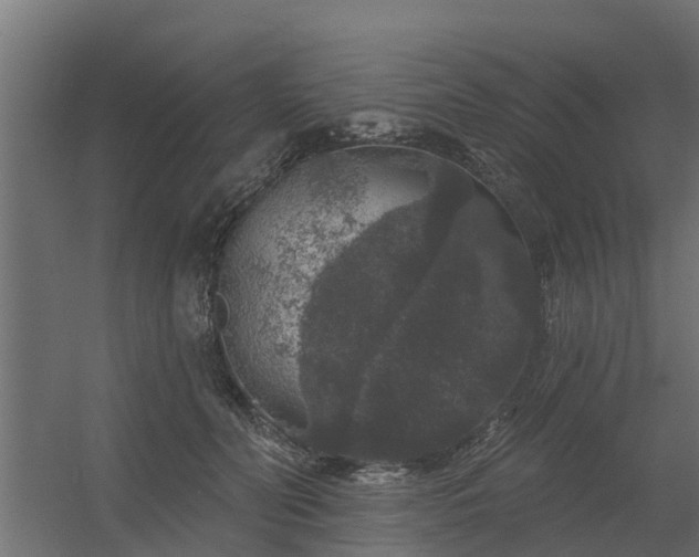 X0000056350606200509021724