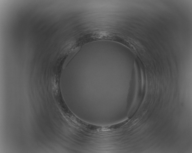 X0000056350607200509021724