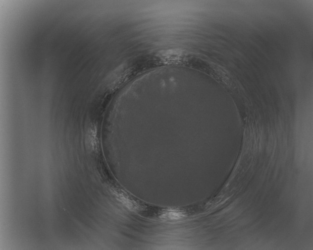 X0000056350610200509021724