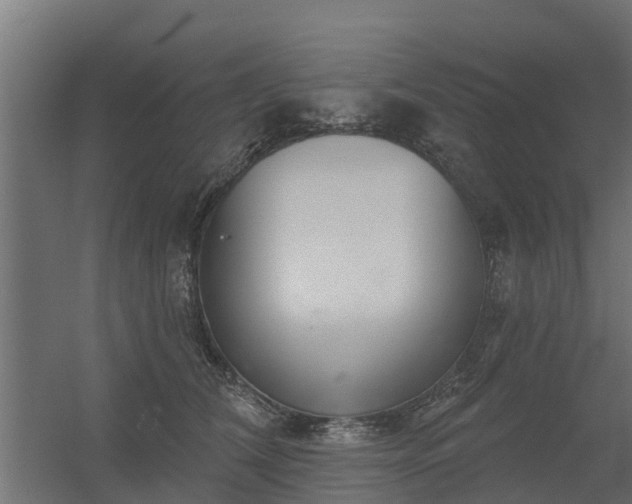 X0000056350612200509021724