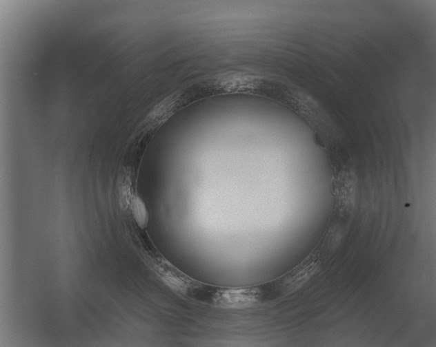 X0000056350622200509021723