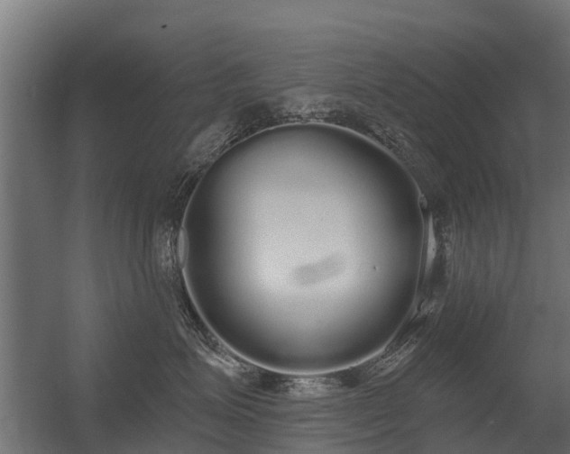 X0000056350623200509021723