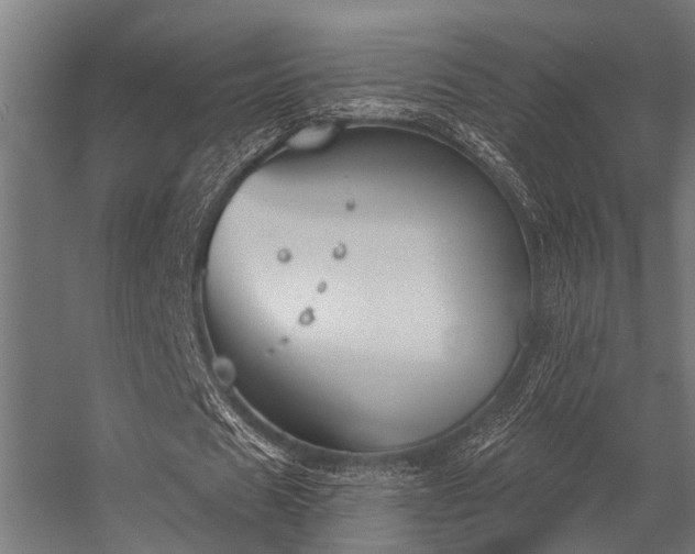 X0000056350625200509021722