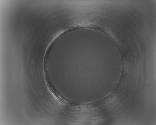 X0000056350626200509021722